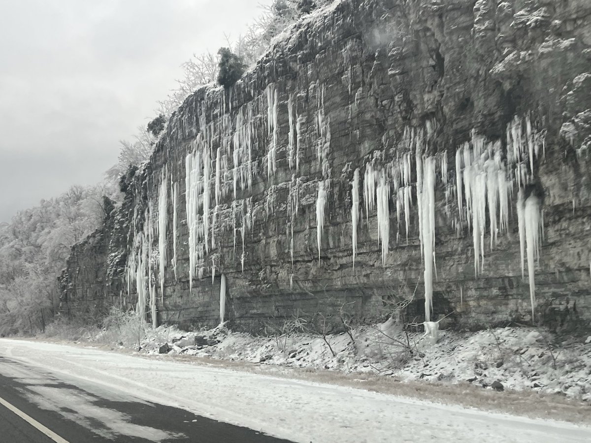 Ellis Ishee tweet media