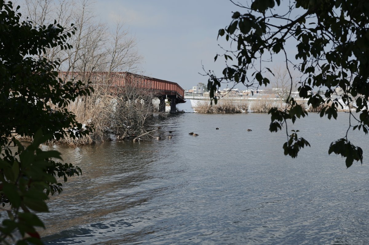 おはようございます。

#photography
NIKON D780 58mm f/1.4G