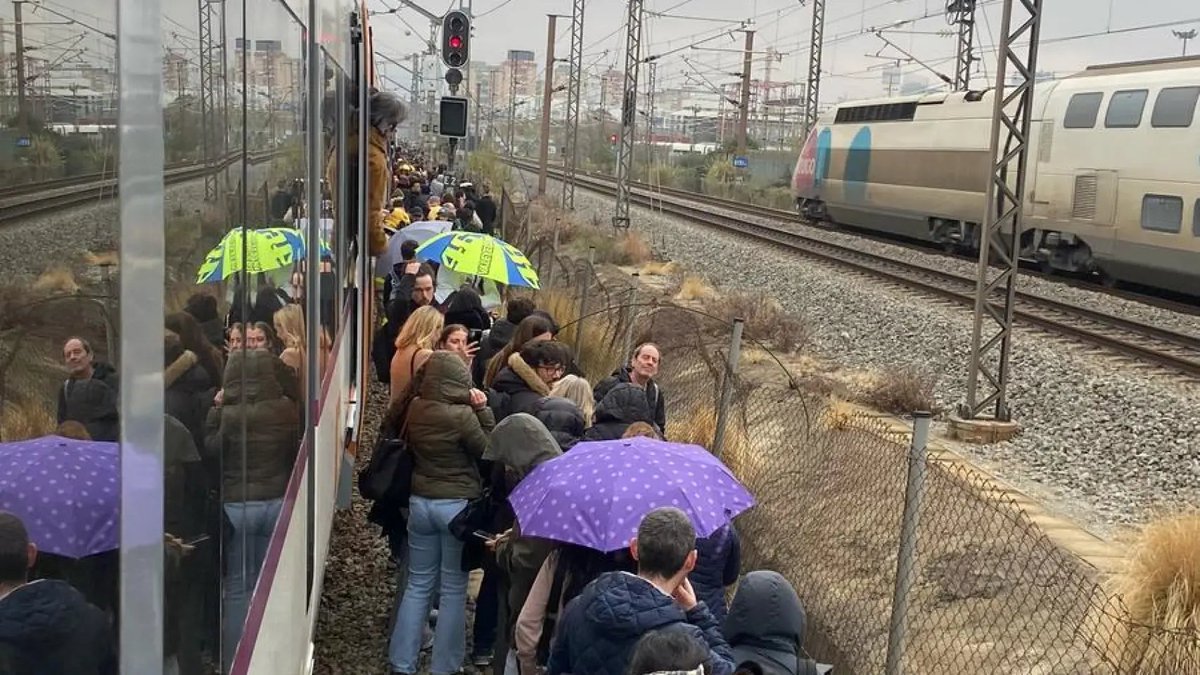 És molt fàcil d'entendre, els que creen els problemes mai són aptes per solucionar-los.
👉RENFE i ADIF   Fora de Catalunya, ja!!