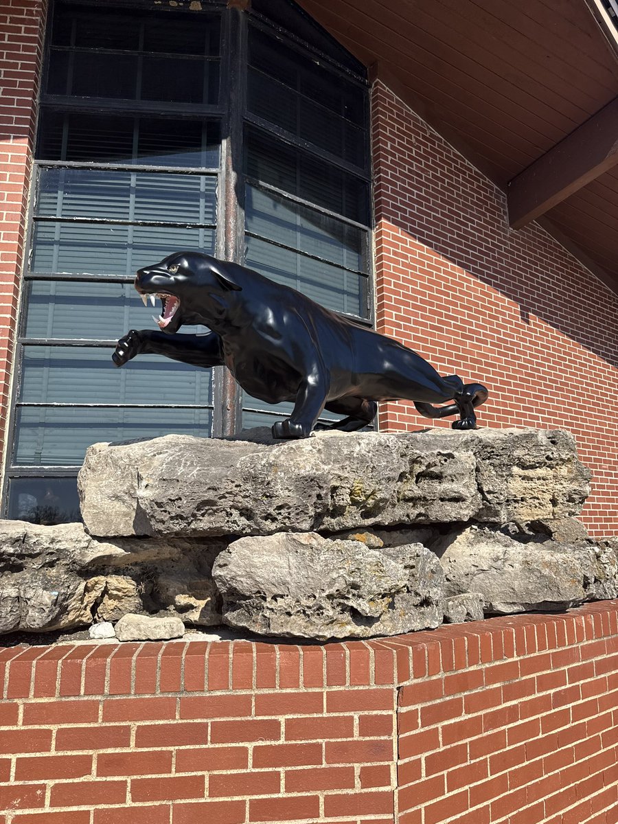 Mark Cala tweet media