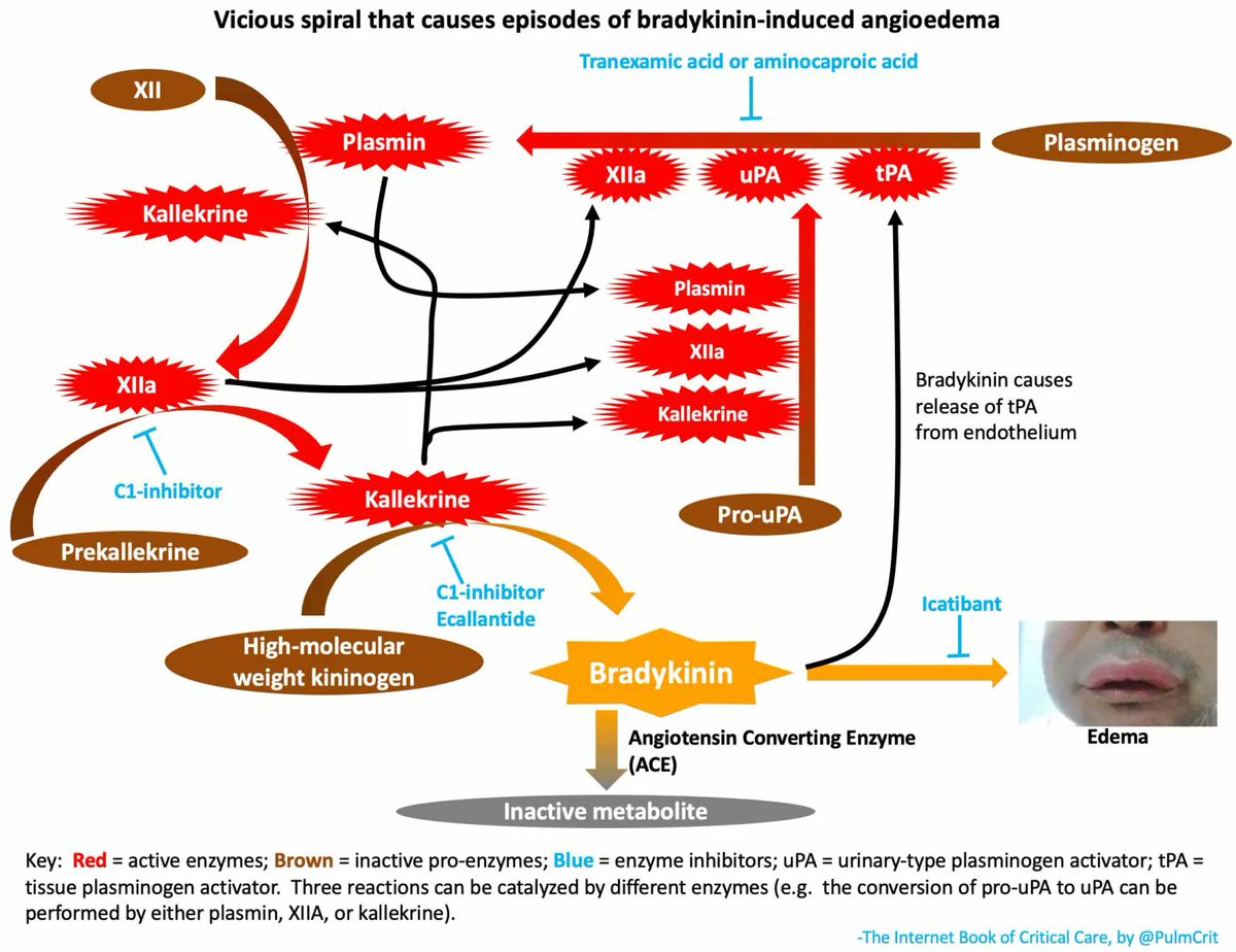 𝙟𝙤𝙨𝙝 𝙛𝙖𝙧𝙠𝙖𝙨 💊 tweet media