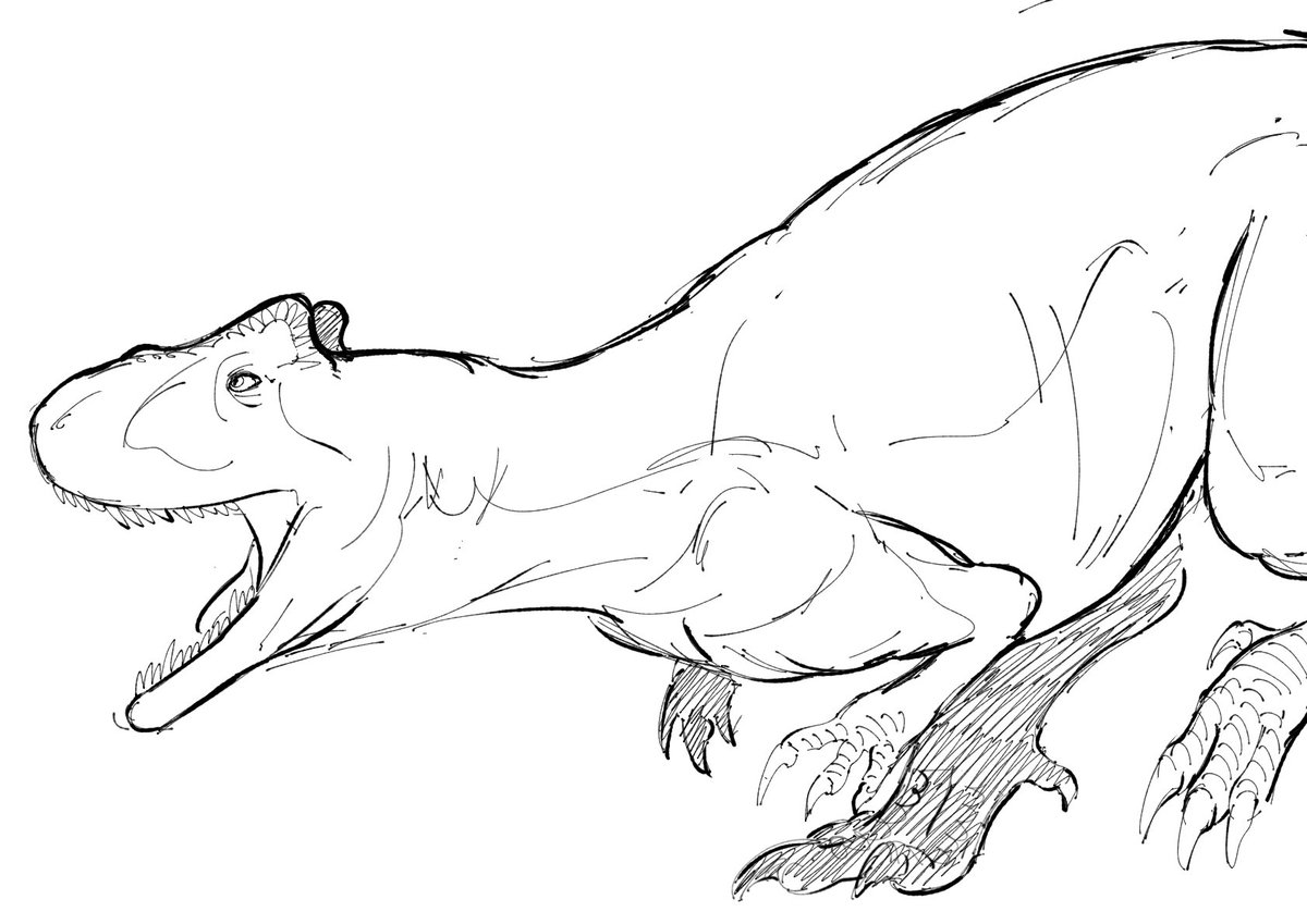drew an allosaurus :3