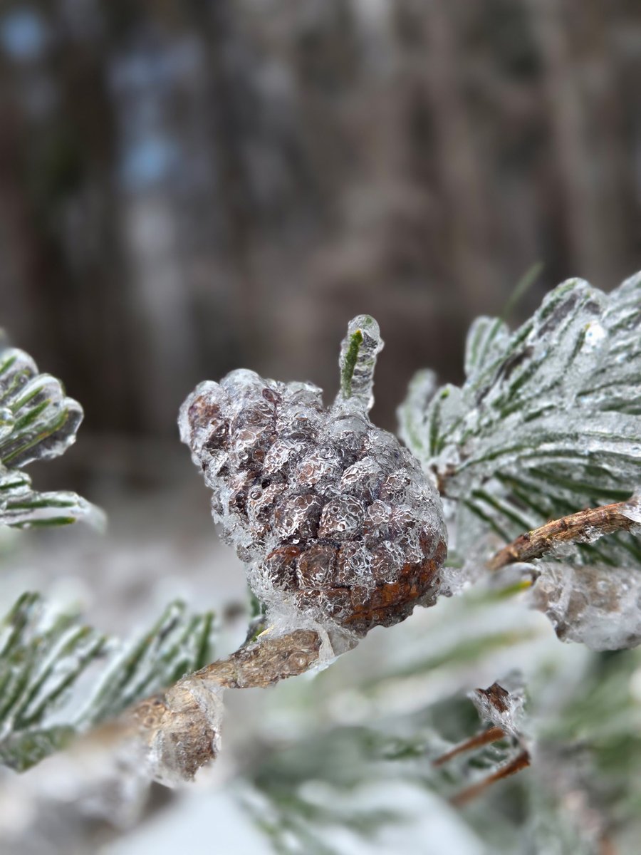 TN Dept. of Ag tweet media