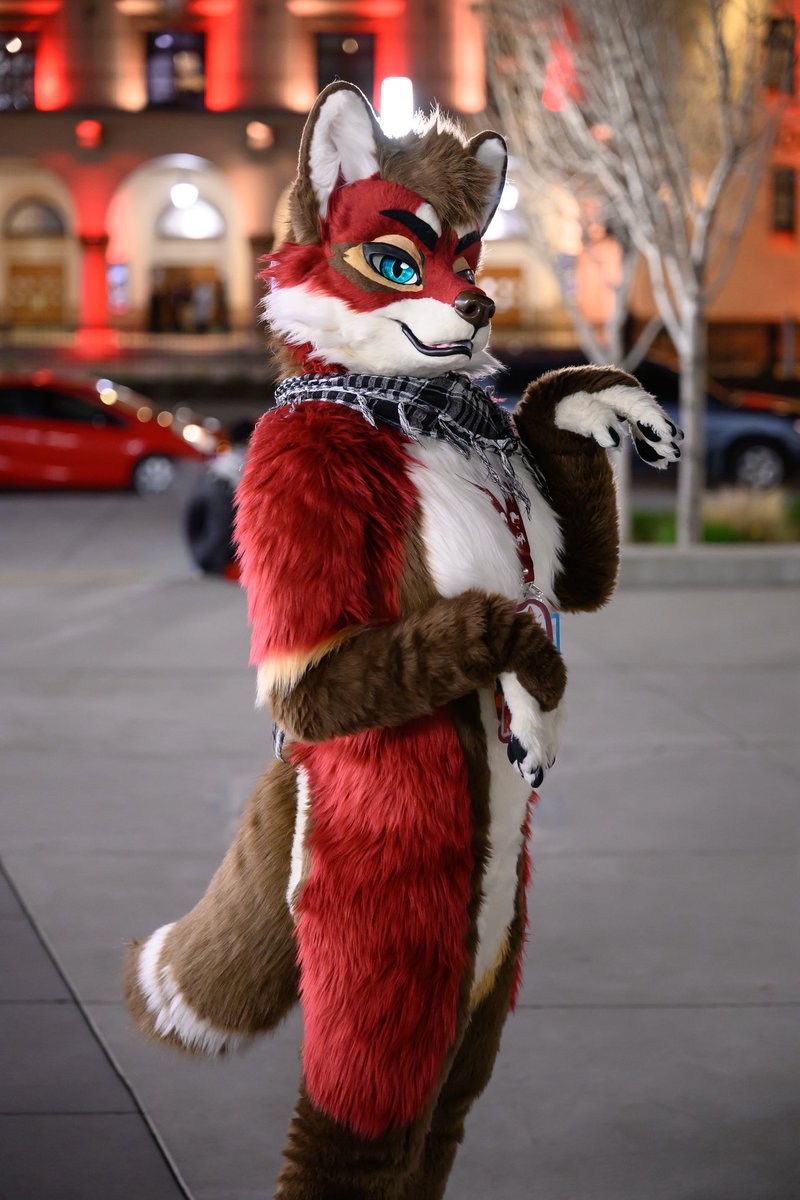 Not lost, just foxing around

#FursuitFriday