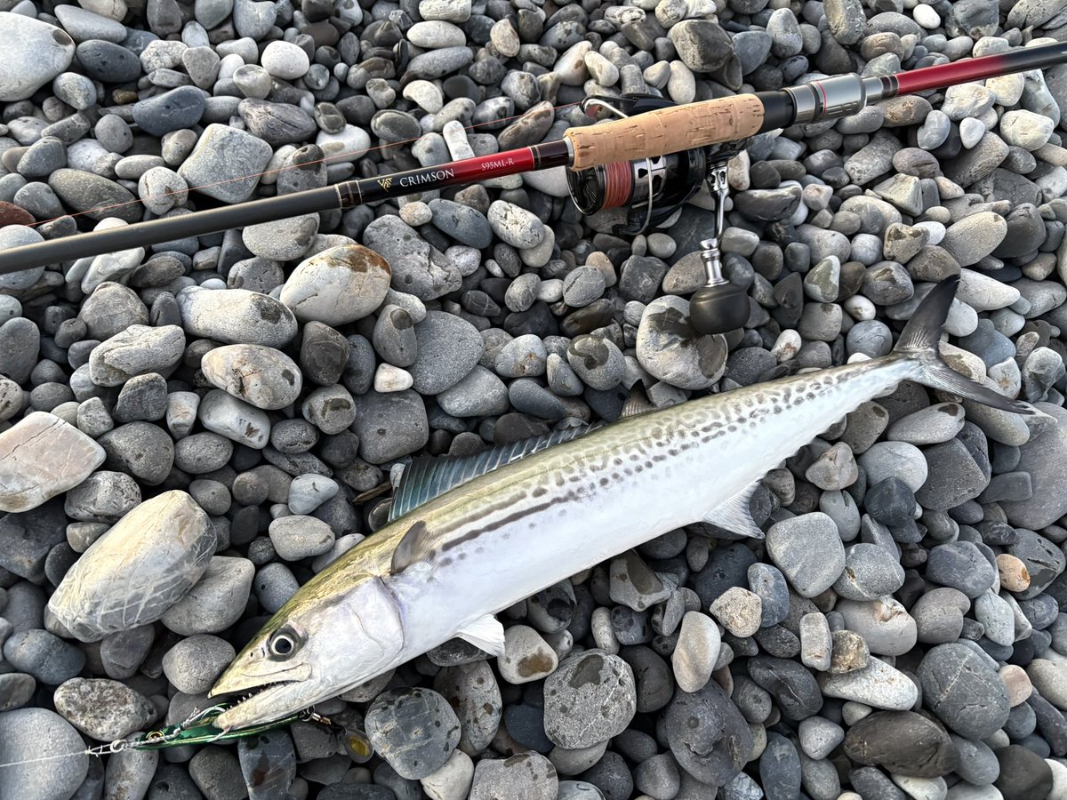 公式】tailwalk (テイルウォーク)｜世界中の釣り好き応援中