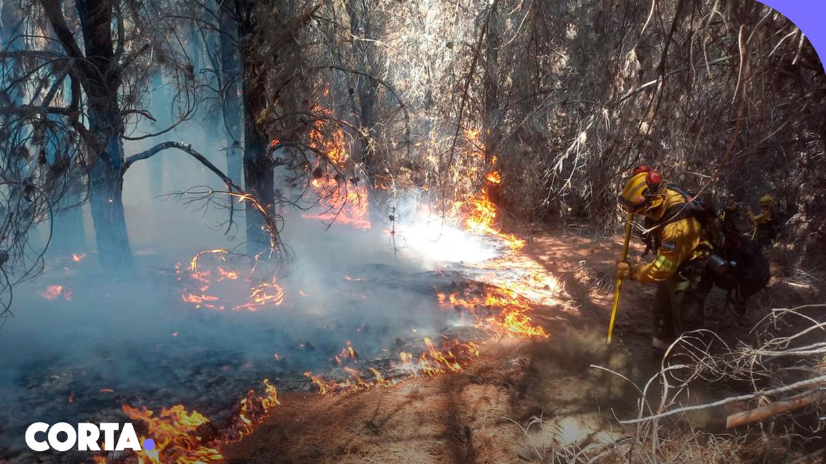 La Federación Chubutense de Bomberos Voluntarios informó que la transferencia anunciada por el Gobierno por $100.810 millones "no constituye un aporte extraordinario" y aclaró que son fondos previstos por la Ley 25.054 y no “una ayuda extraordinaria por los incendios”.