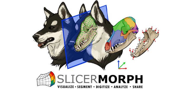 Imageomics Institute tweet media