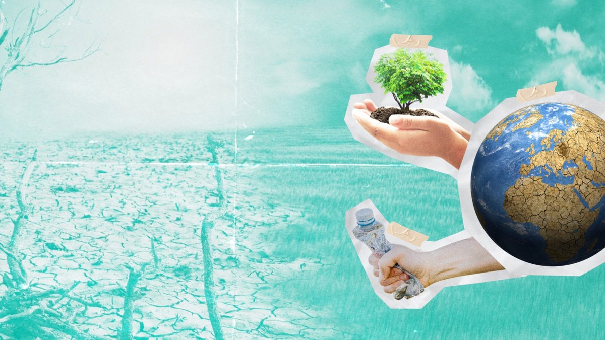 WEA Sustainability Center tweet media