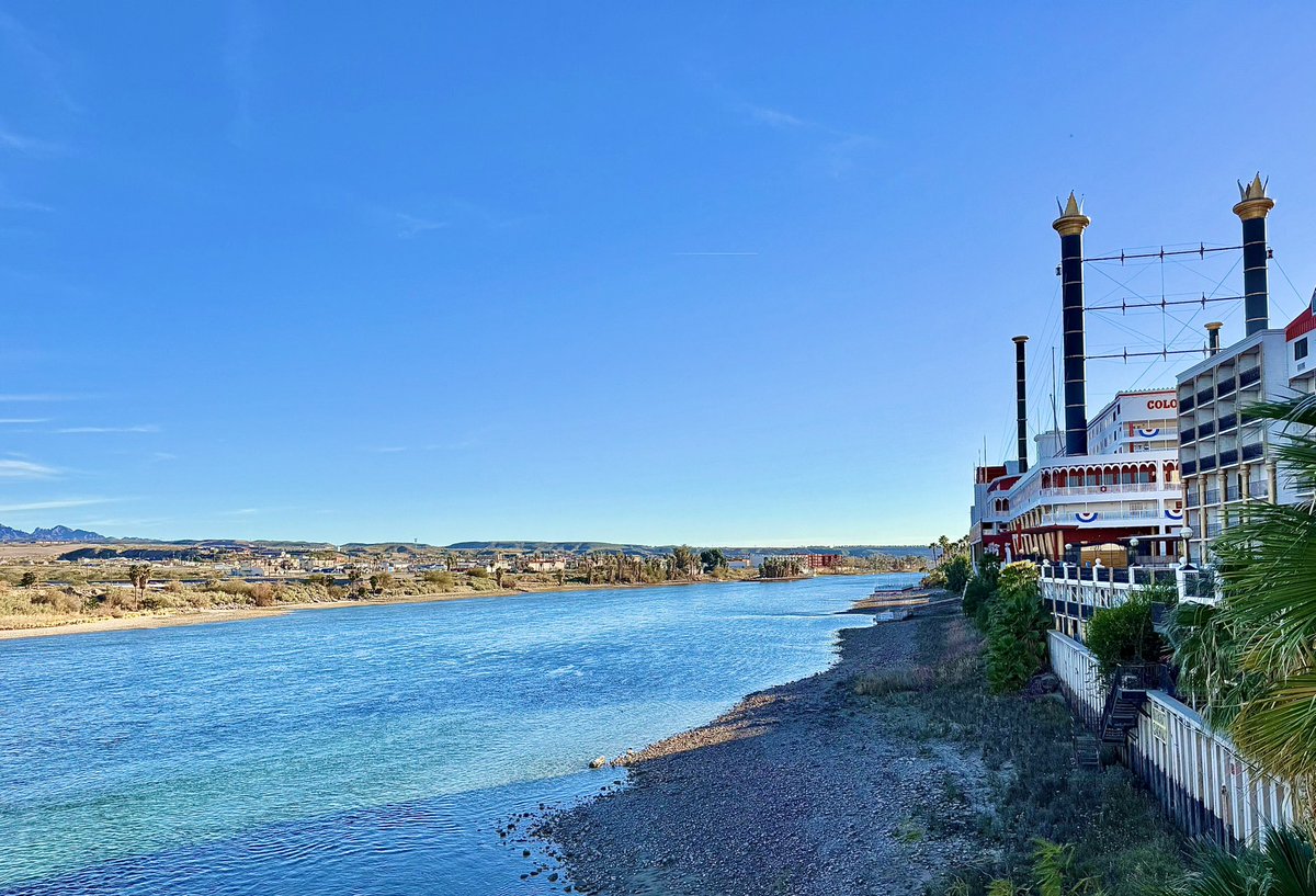 Laughlin Buzz tweet media