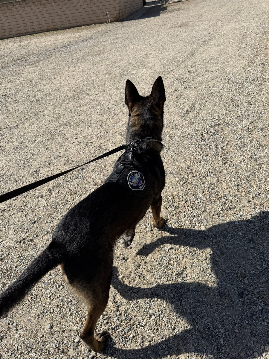 Irwindale Police Department tweet media