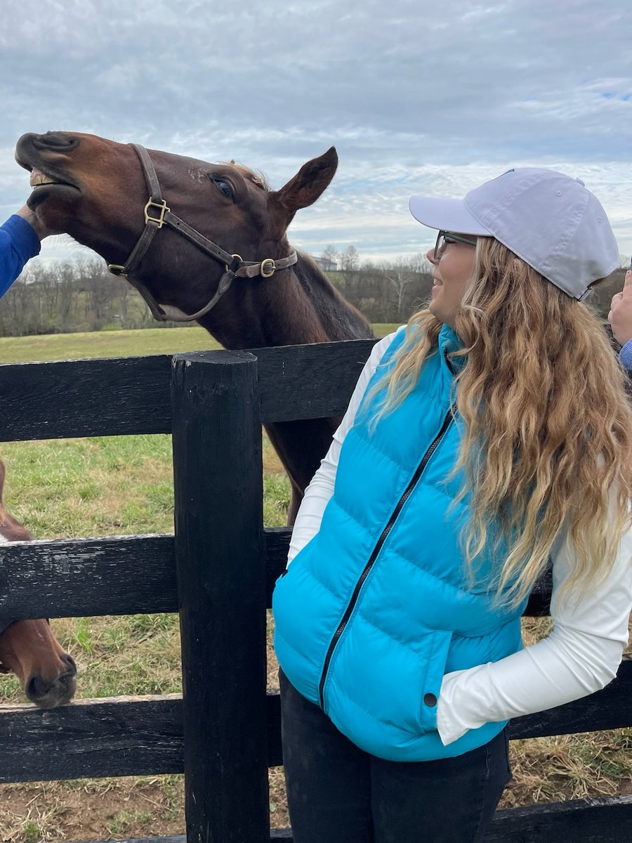 Amplify Horse Racing tweet media