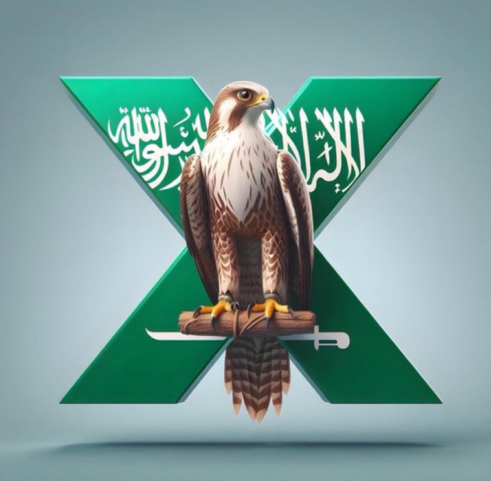 fahddeepaji1's tweet photo. السعودي طير حر، والوطن عنده خطّ أحمر .. https://t.co/lLK3QEMNiT