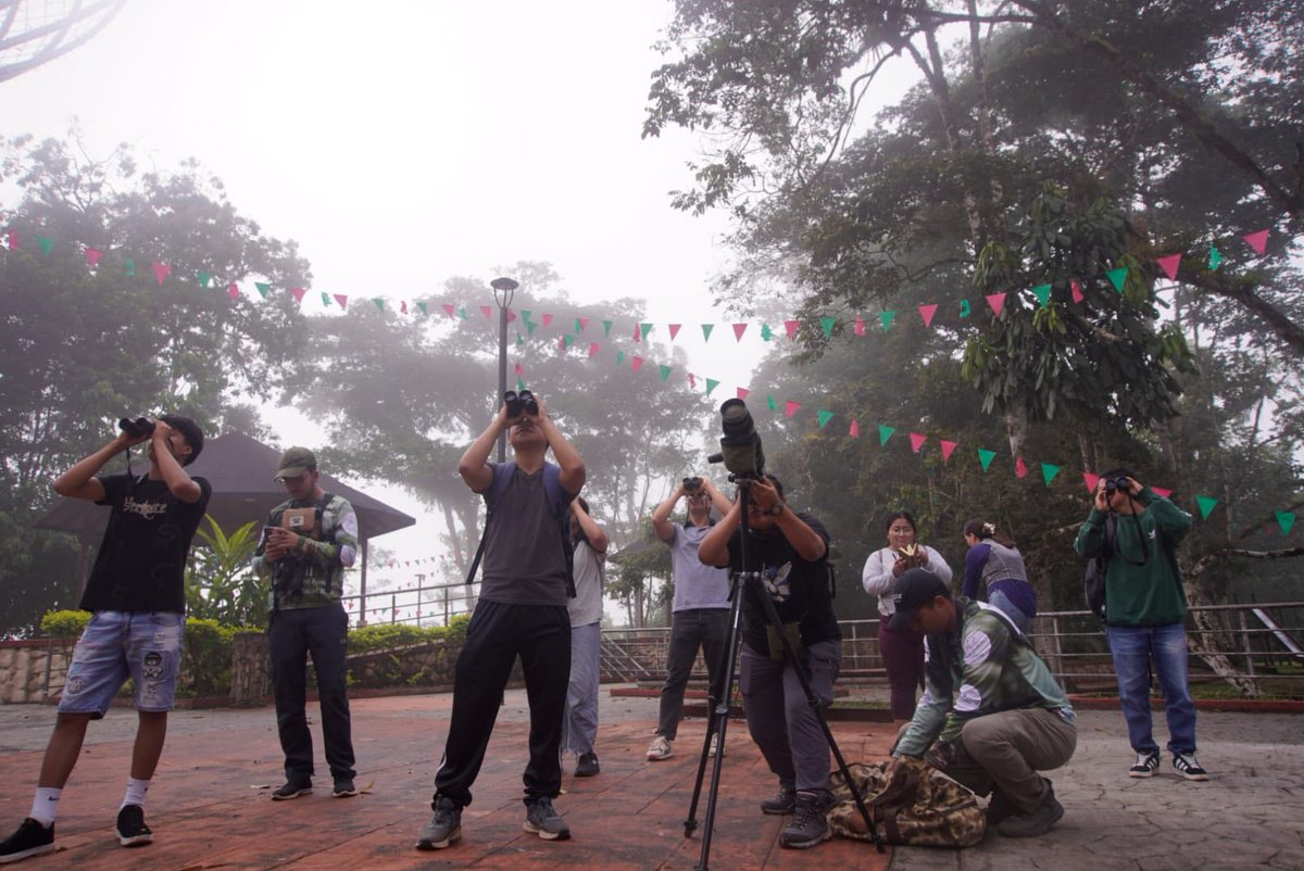 #MoronaSantiago | Macas a favor de las aves urbanas y del medio ambiente

AUDIO ► acortar.link/XEkRAg