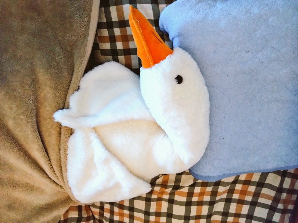 Post by 山雀 on X: 兄弟…