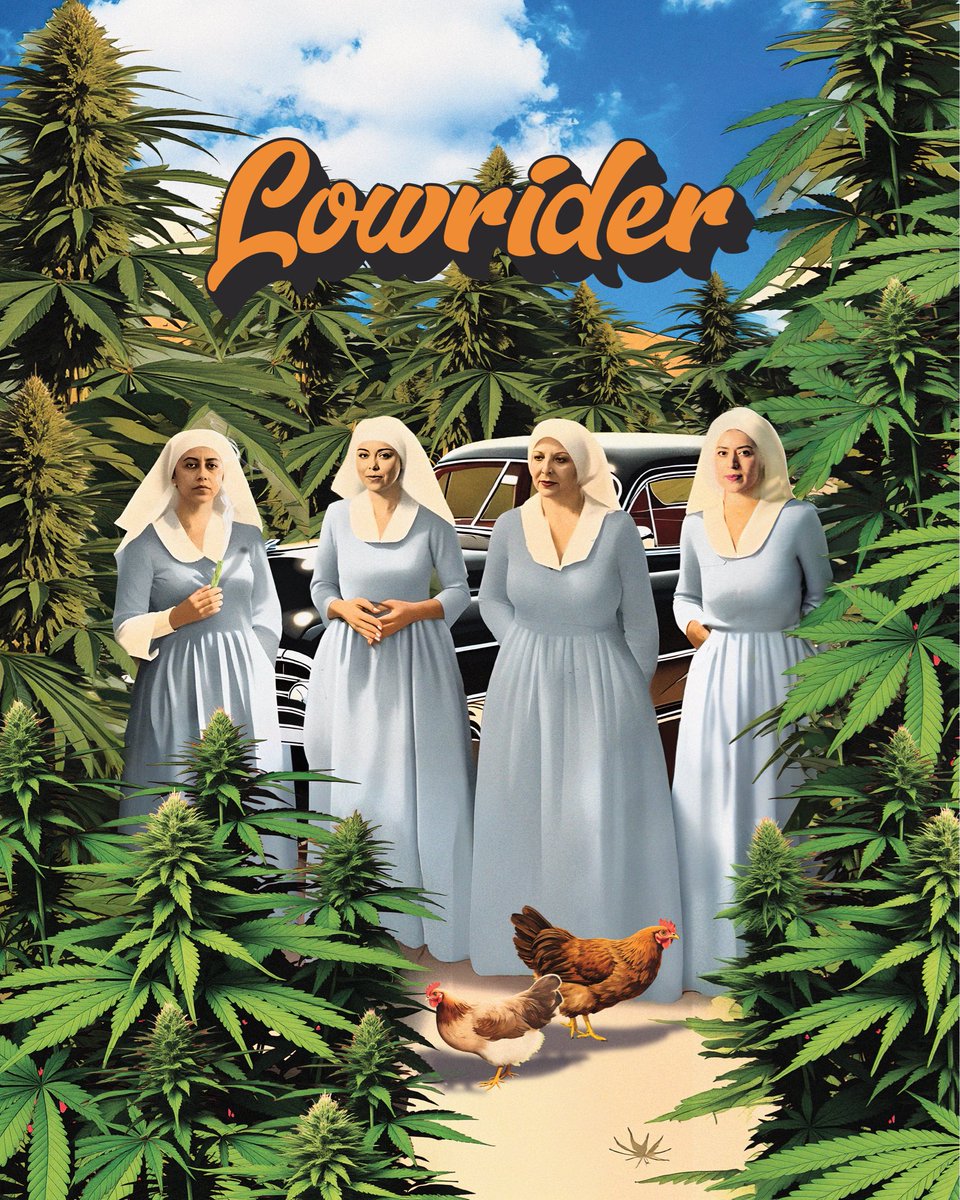 Traditional tweet media