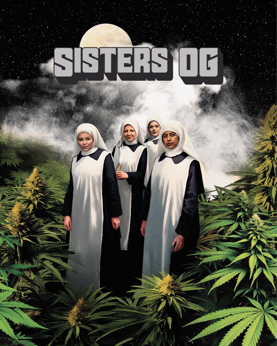 Traditional tweet media