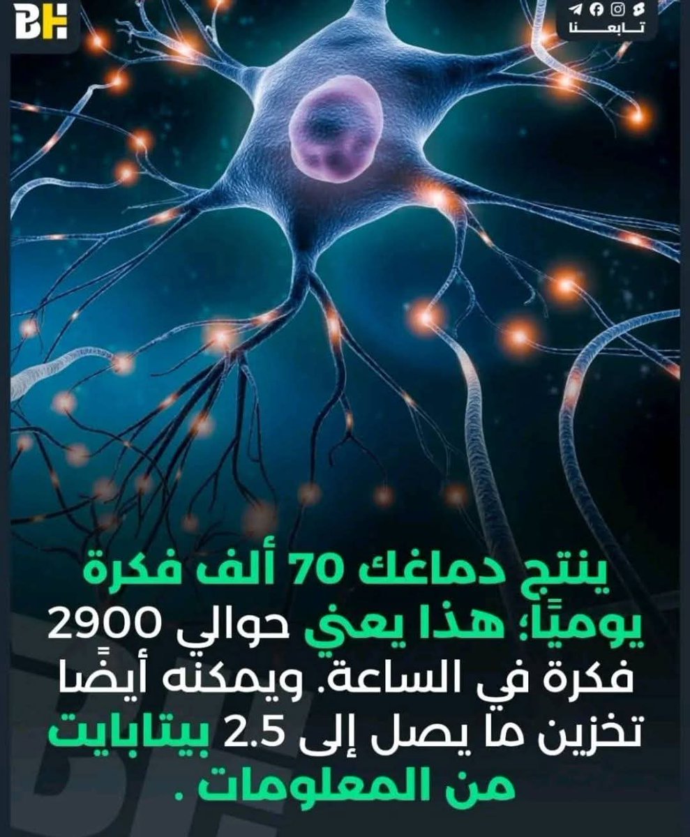 المستنير الحازمي tweet media