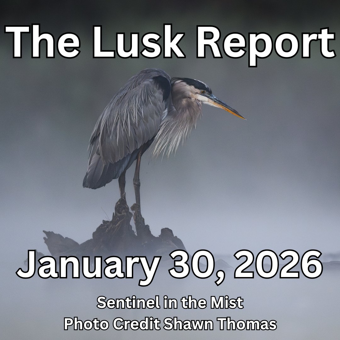 Rodney Lusk tweet media