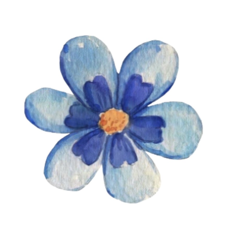 * ℳ𝑒𝑔. ᵒⁿ ᵃ ᵐⁱˢˢⁱᵒⁿ tweet media