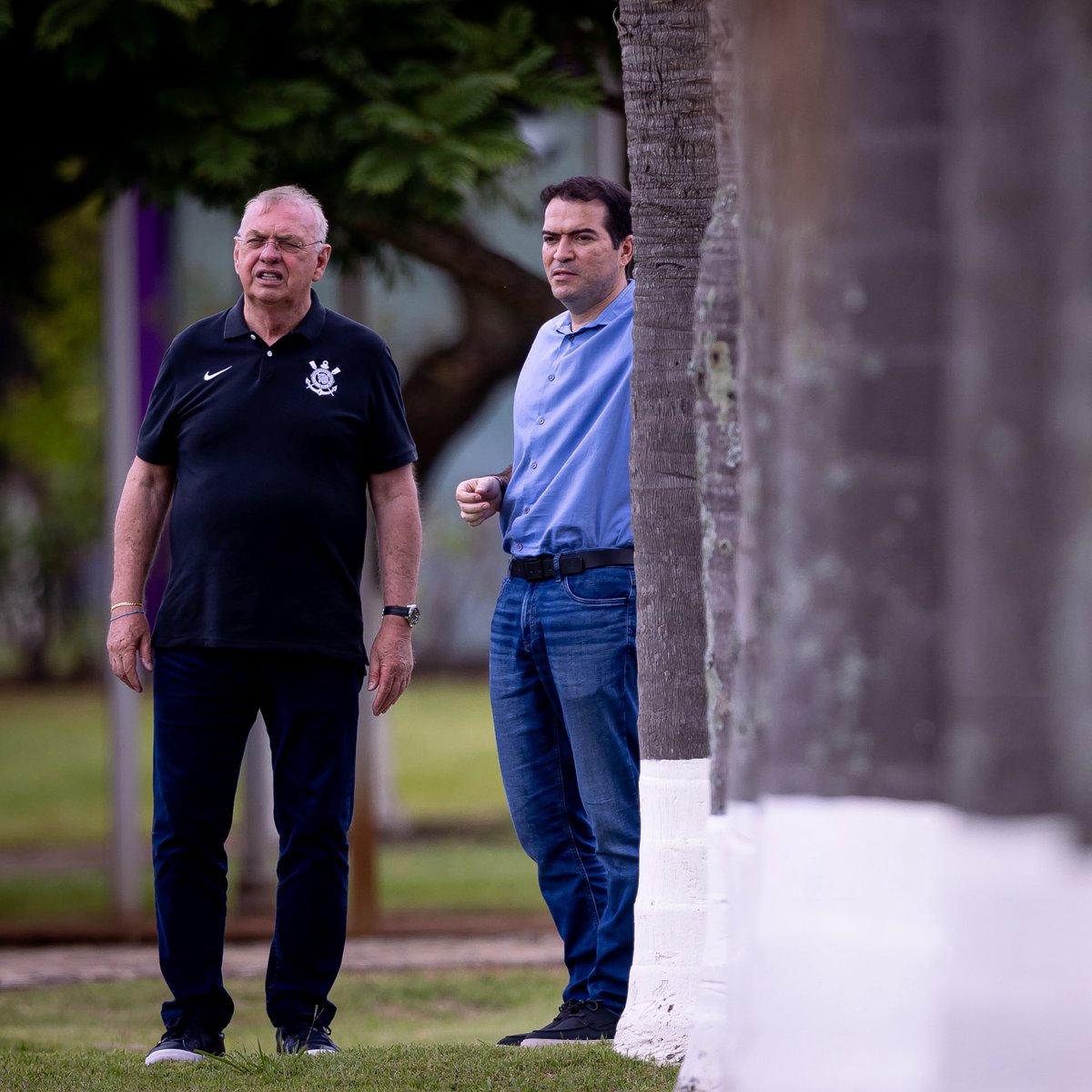 SCCP News tweet media