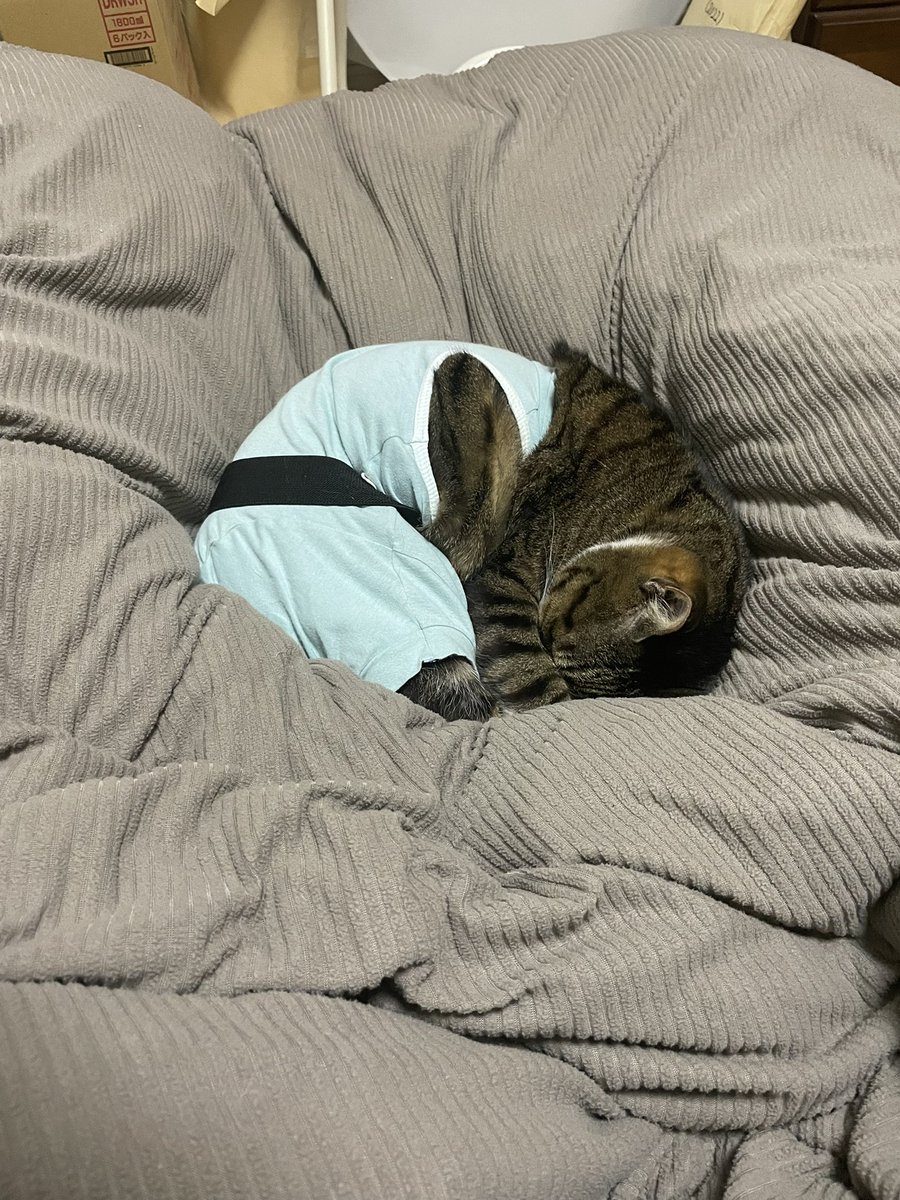 おはようございますラウドネスブラザーズ^_^