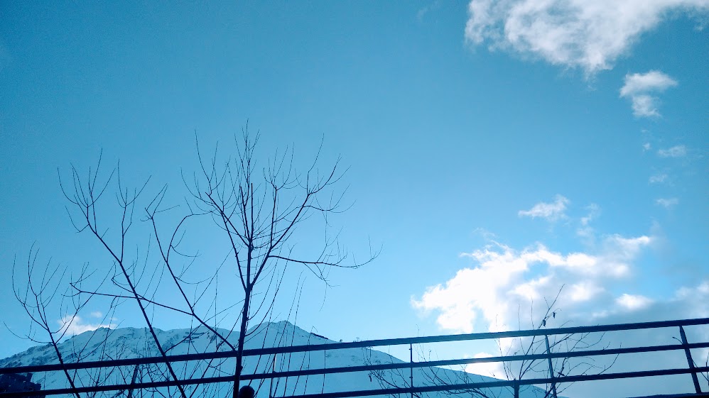 Z I B E T H R O S E | Inspiration & Motivation 🌹 tweet media