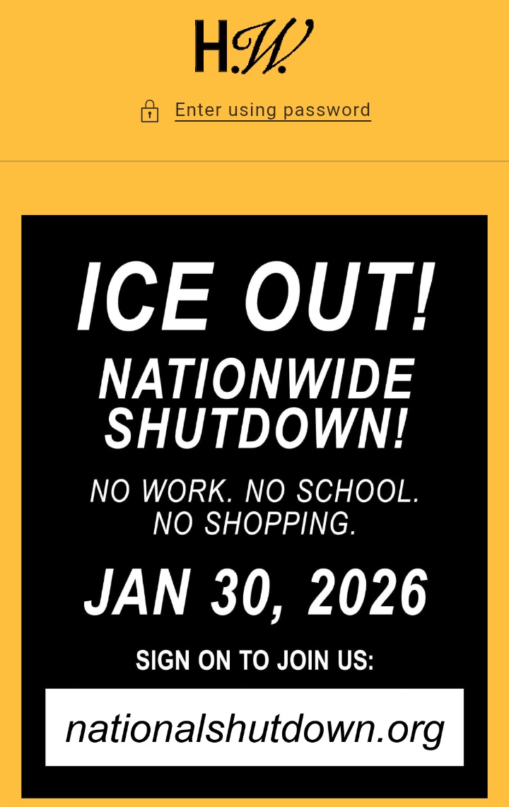O site oficial de Hayley aderiu ao boicote econômico contra o governo de Trump e está fora do ar: 

"FORA ICE! 
APAGÃO EM TODO O PAÍS!

SEM TRABALHO. SEM ESCOLA. SEM FAZER COMPRAS.

JUNTE-SE A NÓS:
nationalshutdown.org"