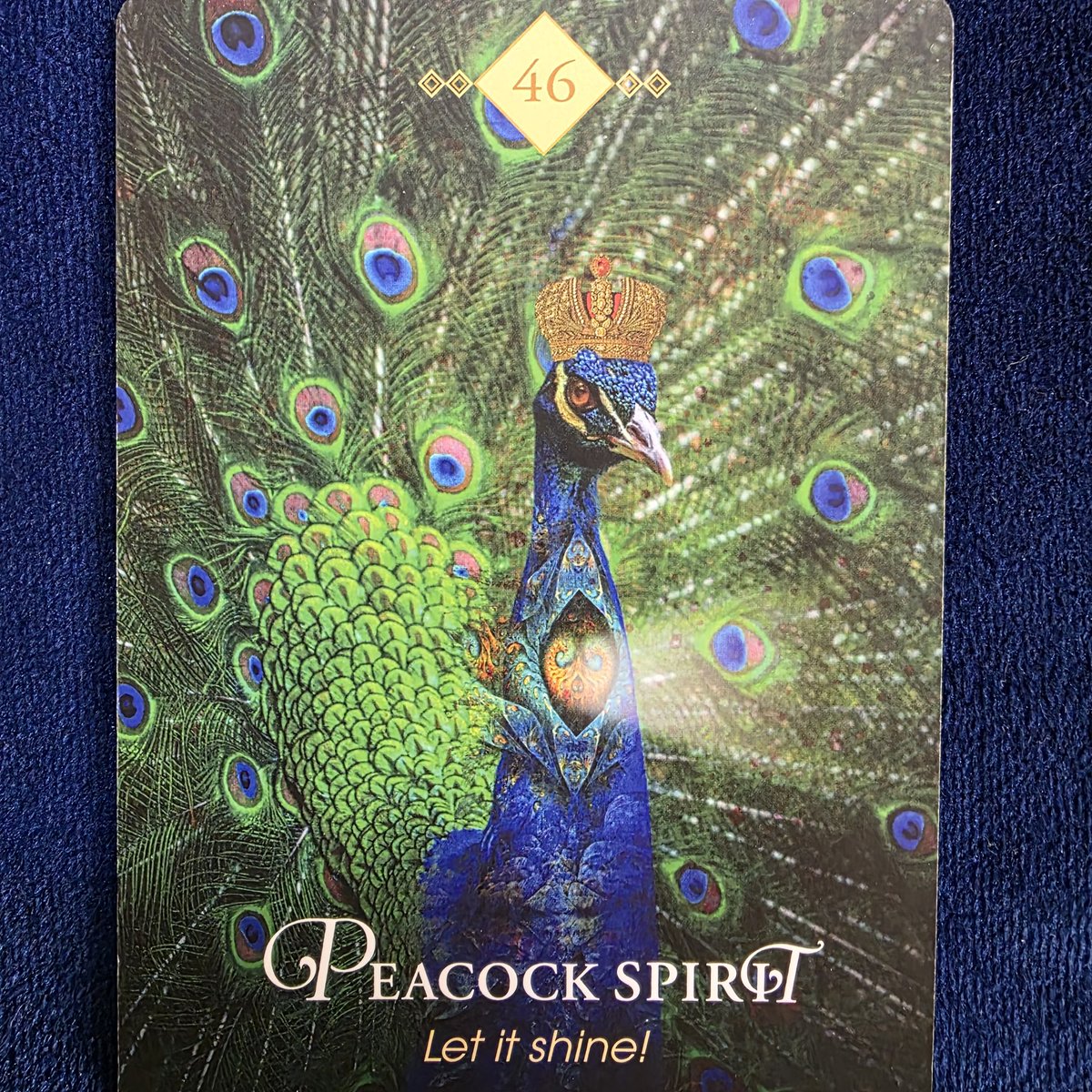 🌈ワンオラクル🌈

輝き

あなたが生き生きと輝き
表現すると何か起こると
心配ですか
もちろん、称賛する人ばかりでは
ないかもしれません
一部の心無い人のせいで
素敵な魅力を隠すことは
勿体ないことです
一緒に輝く人と
楽しく踊りましょう

とメッセージが届きました💖

素敵な1日を🍀