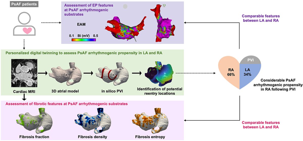 HeartRhythm tweet media