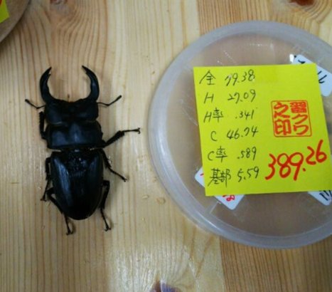 たくパパ (@takupapa80) / Posts / X