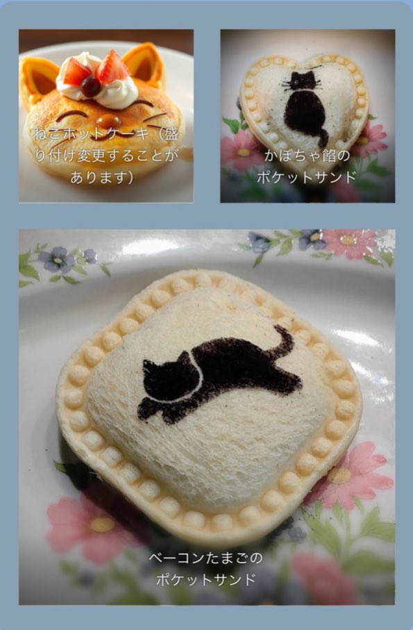 猫カフェ ねこ田さん家 大阪 (@nekota_delideli) / Posts / X