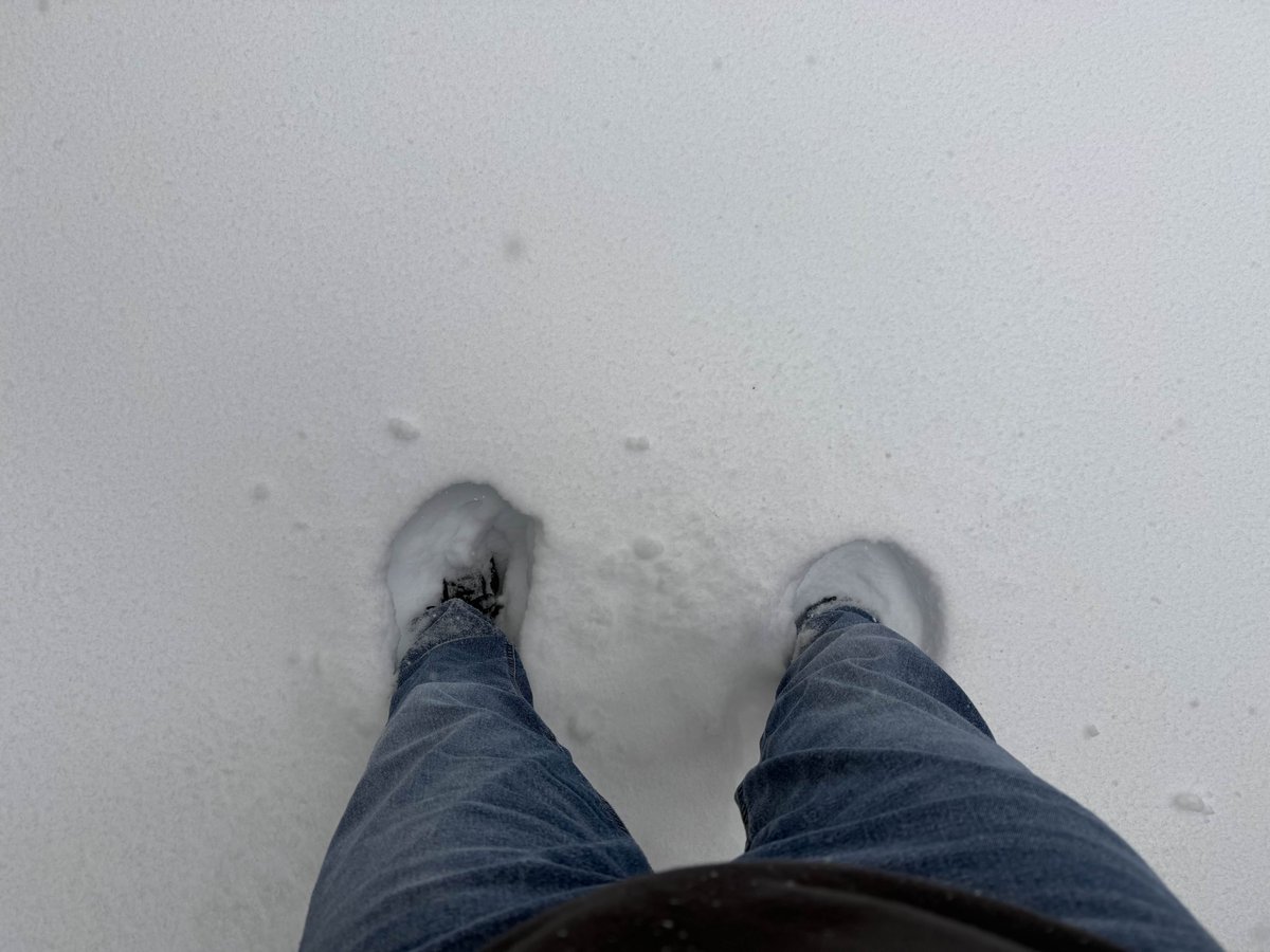 StormerrC's tweet photo. @KaiRossBest pretty!
heres the amount of snow we got in my part of the US lmao https://t.co/dCLU9yYrY0