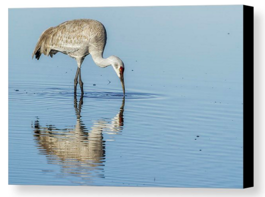 Belinda Greb tweet media