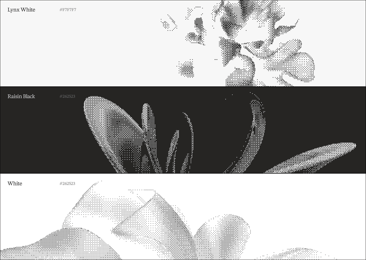 Praveen Kumar👾 tweet media