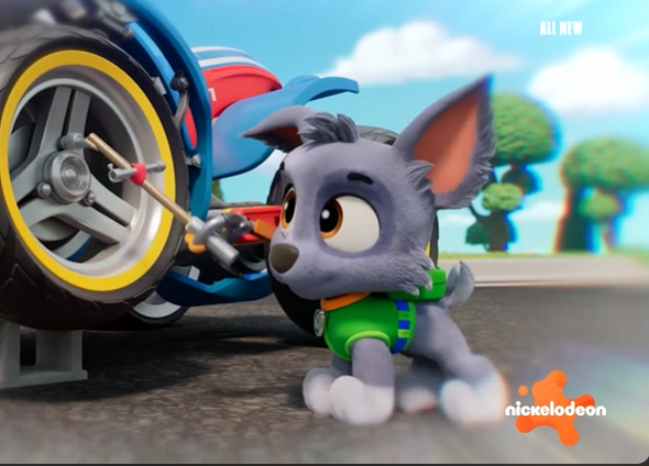 ZumaRockyFan21's tweet photo. Take a look at baby Rocky. 💚💚 #pawpatrol #rockypawpatrol #pawpatrolrocky #rockyscatastrophe https://t.co/vxjCmQ5GwY