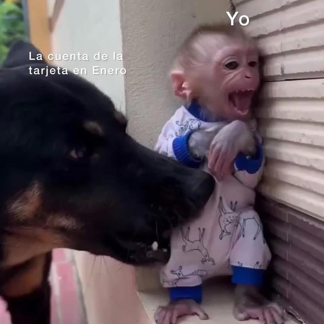 Salvador Iglesias Jr (@javisness) on Twitter photo 