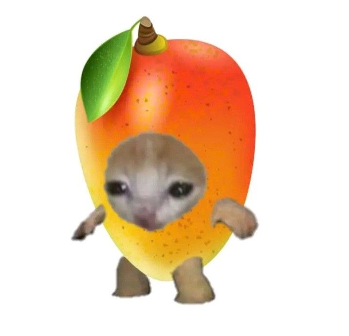 †╍╍╍╍╍╍╍╍☀ ✿「On Stream」✿☀️╍╍╍╍╍╍╍╍†

Ejem... mango

🟣Press Start「twitch.tv/h4rusui / kick.com/h4rusui」Press Start🟢