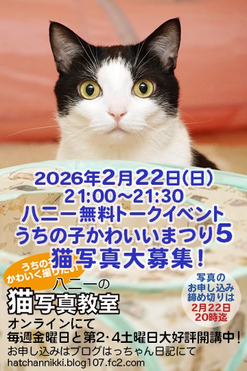 2026年2月22日（日）21：00〜21：30 八二一の無料トークイベント