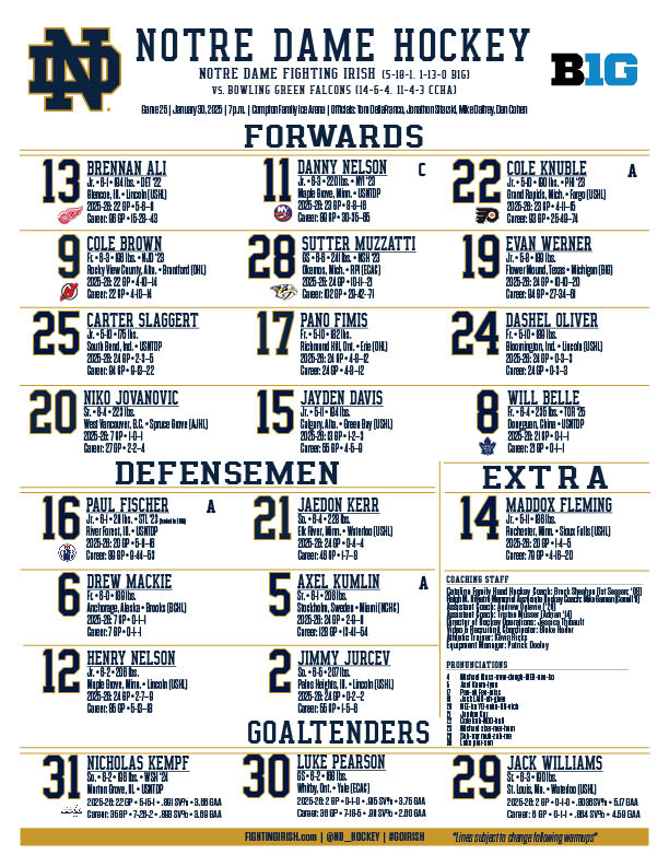 BGSU Hockey Fans tweet media