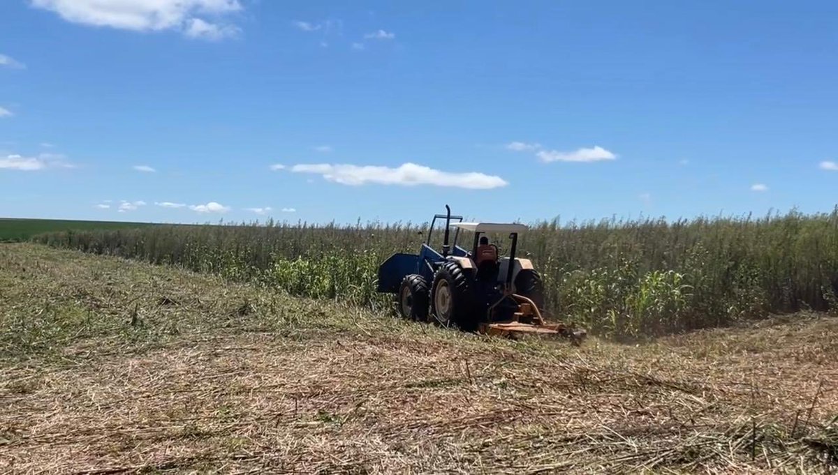 #ITAIPUPreserva 🌿🌳 ¿Sabías que…? Estamos trabajando en la restauración forestal de 71 hectáreas en la Reserva Natural Itabo, en el distrito de Santa Fe del Paraná (Alto Paraná). La superficie intervenida forma parte de un inmueble recientemente incorporado al patrimonio de la
