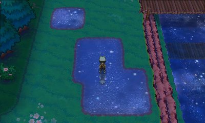 pokémon.nds tweet media