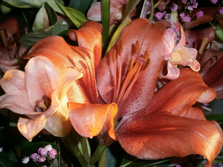 chaarpaai's tweet image. 