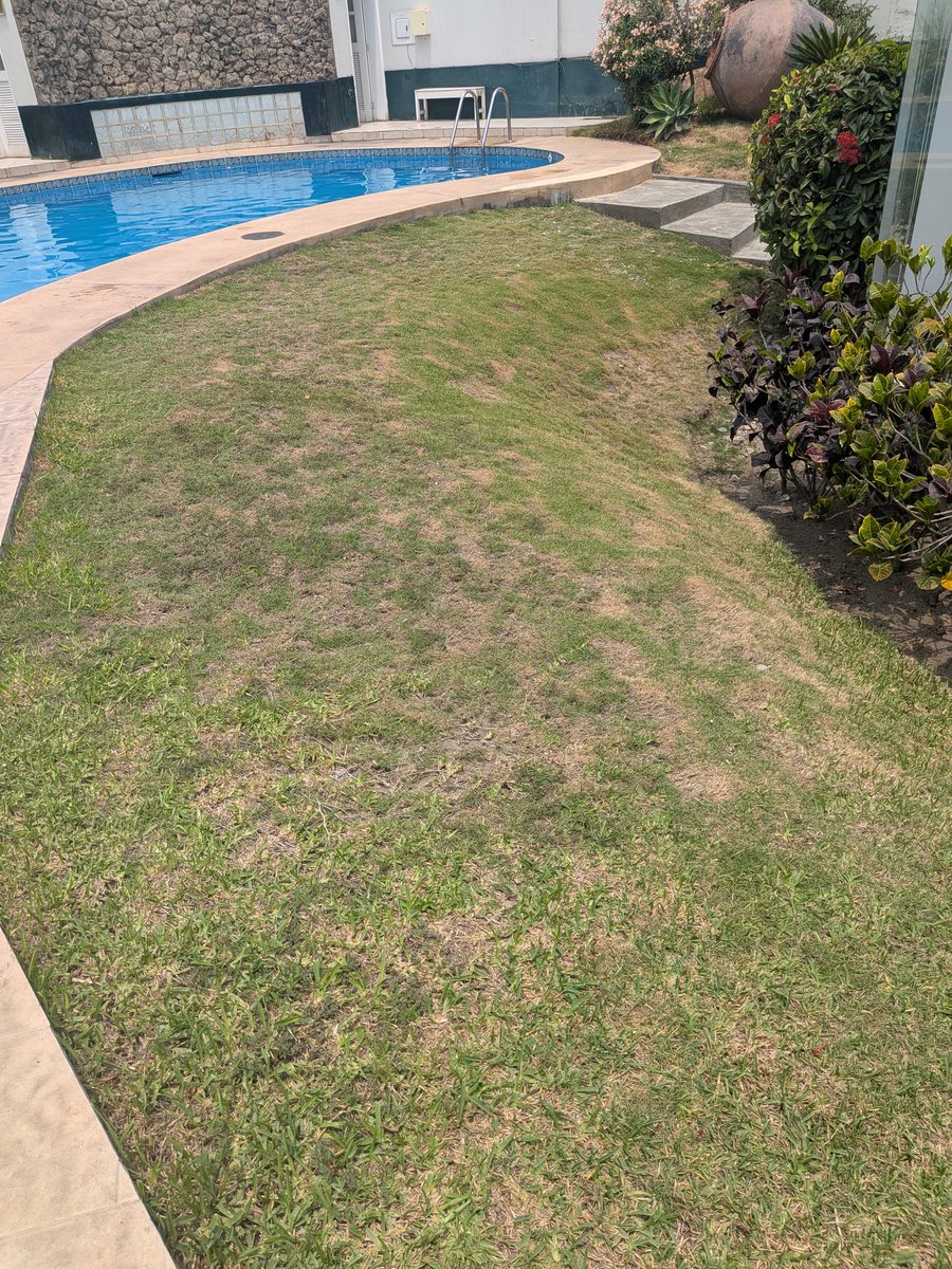 John Emerson tweet media