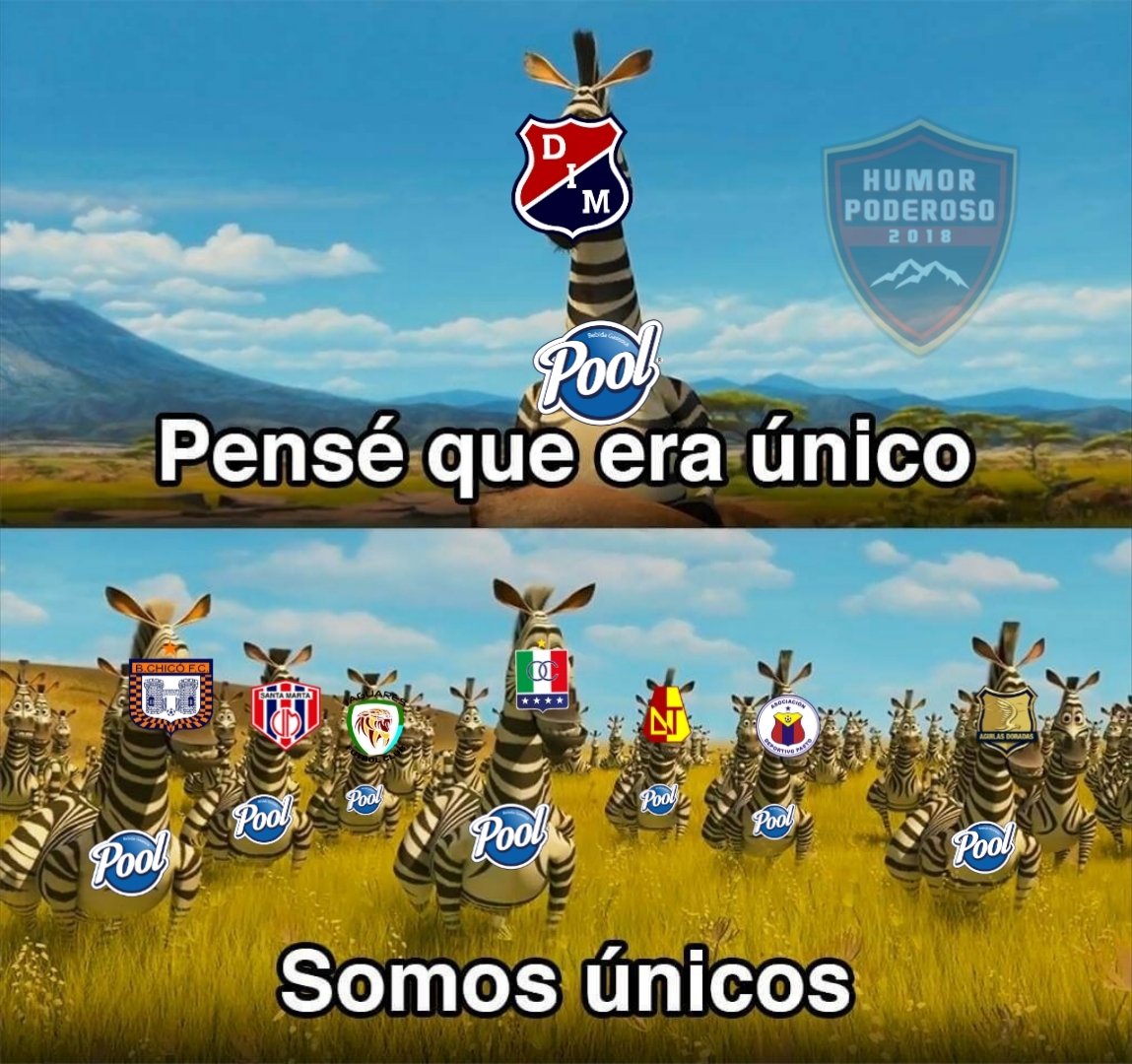 SOY DEL DIM tweet media