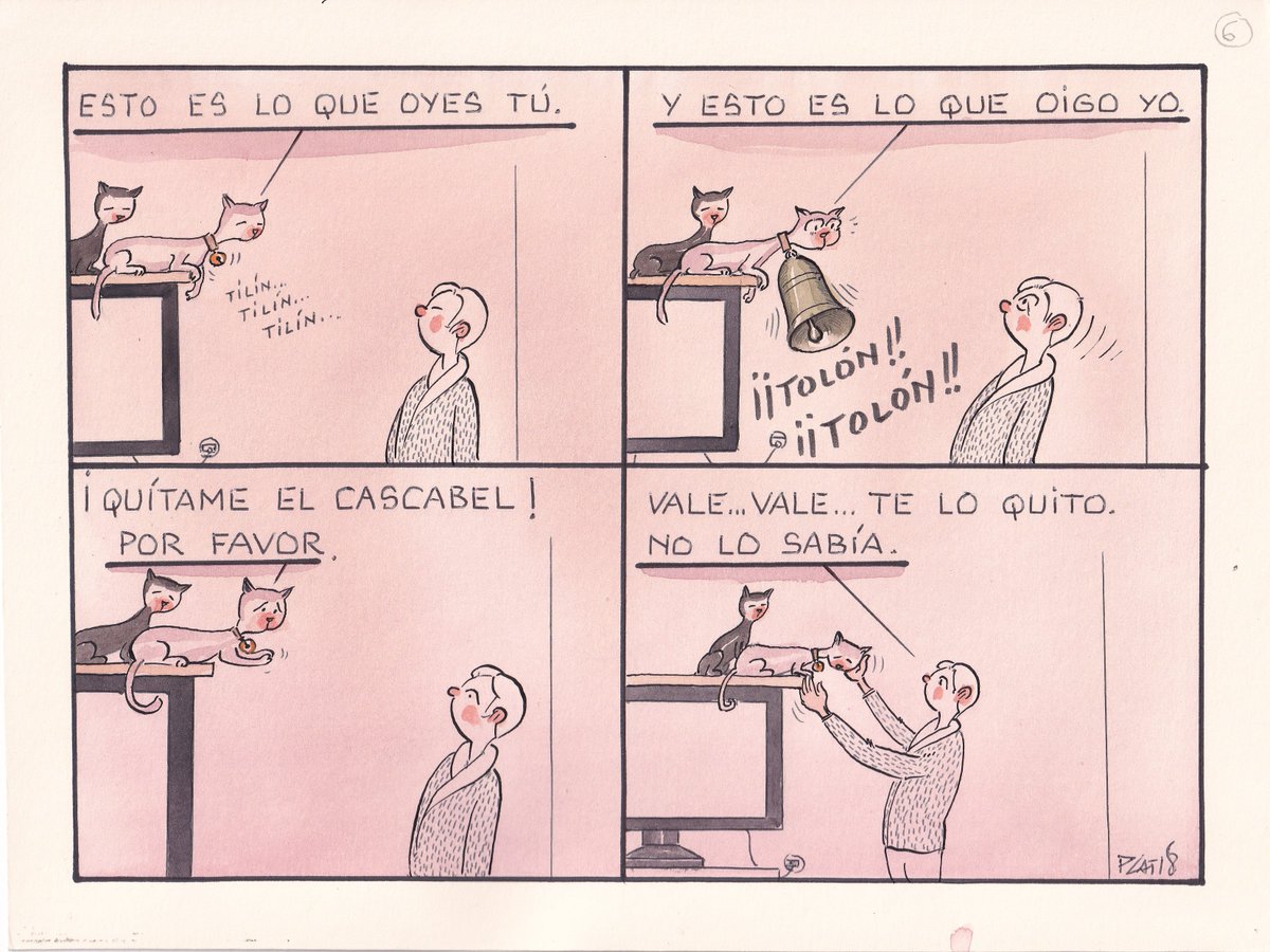 pacocatt's tweet photo. Para ellos es una tortura llevar collar con cascabel. https://t.co/DmdNhW6urr