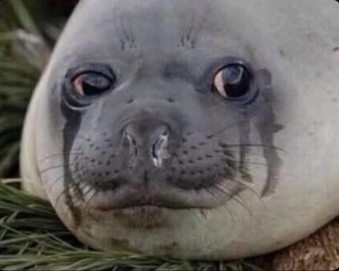 Joakim 🌹🇳🇴🇪🇺 tweet media