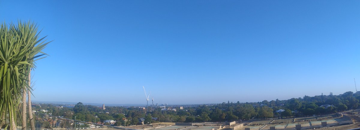 Prof Marc Tennant AM tweet media