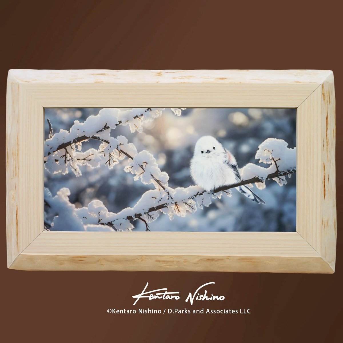 Kentaro Nishino Art 画家 西野健太郎 (@kentaro_art) / Posts / X