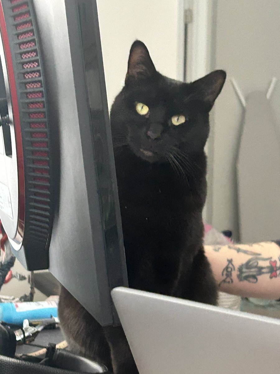 𝐤𝐚𝐭𝐢𝐞 tweet media