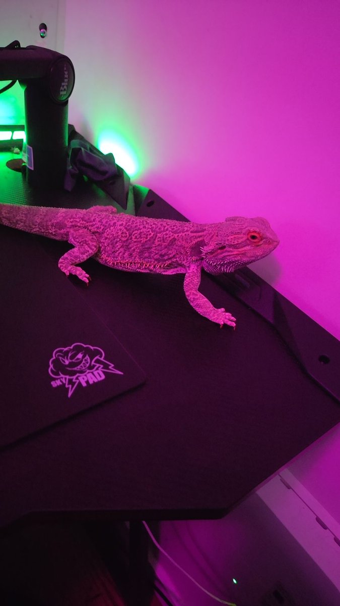 Tech paws! #VCTAmericas